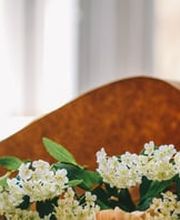 Brandenberger Bestattungen Bild 5