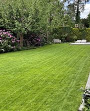 Baum- und Gartenpflege Schifelbein GmbH