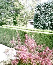 Jaccard Bernard Bild 3