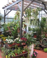 Jardinerie Delbard Le Puy en Velay image 6