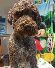 Le Salon des Stars image 3