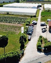 MAURICE DE POINCY image 1