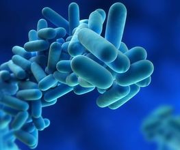 control-legionella.jpg