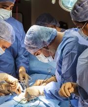 Alpine Surgical image 16