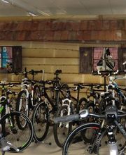 Dirk's Fahrräder & Mehr Alexandra Rupprecht Bild 8