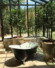 De Araujo Patrick image 3