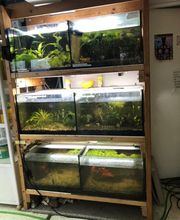 Hier befinden sich die grösseren Aquarien.