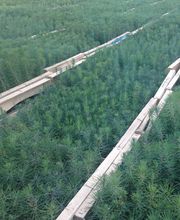 Poeydomenge Patrick image 1