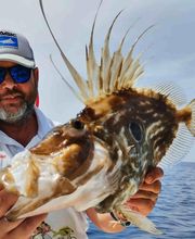 Enigma Charter Mallorca - Fishing & Boat Trips imagen 5