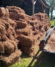 The Pine Needle Man Landscaping LLC image 17