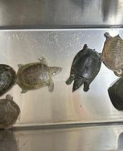 Park Hill Supermarket image 13