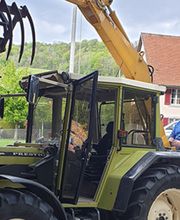 Holzbär Keller Brennholz Bild 3