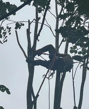 L.W.Espaceverts image 9