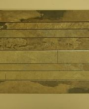 Spalinger Marc Bild 2