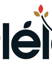 Mairie - Plélo image 2