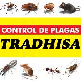 TRADHISA_Control_de_Plagas_Badajoz.jpg