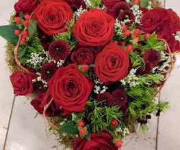 Blumen Dahlmann Bild 4
