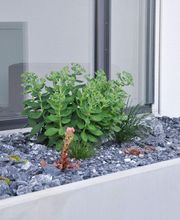 Zemp Gartenbau Bild 1