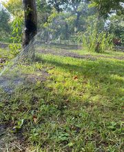 B.T. Gartenbau Bild 13