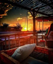 Gallery Professionale