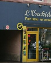 L'Orchidée image 4