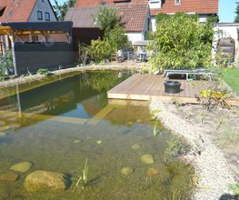 Schwimmteich