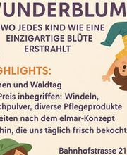 Kita Wunderblume GmbH Bild 1