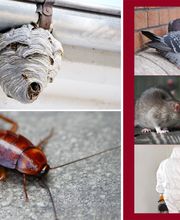 Schädlingsbekämpfung Schemeth GmbH Bild 4