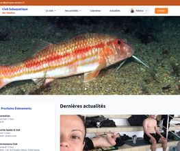Alré Web image 3