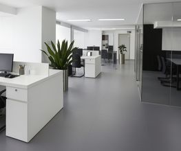 Fischlin Reinigungen Schweiz GmbH Bild 1