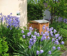Immergrün Pool-, Garten- und Umwelttechnik Bild 3
