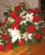 Blumen Metzler Bild 2