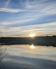 Champagne Moutaux EARL image 5