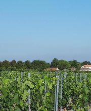 Cognac Michelet image 18