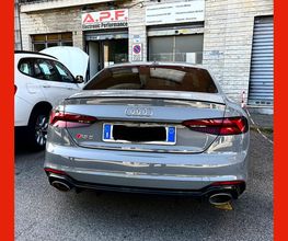 A.P.F. electronic performance immagine 9