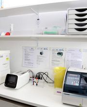 Kauder Martin Bild 5