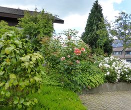Stark im Garten Bild 30