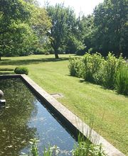 Meillonnas Paysages Elagage image 4