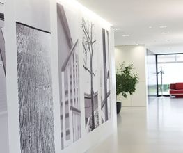 Dinvest Bewirtschaftung AG Bild 2