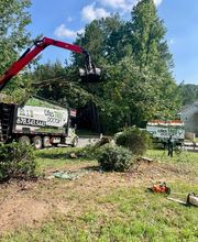 Life's Tree Doctor, LLC image 11