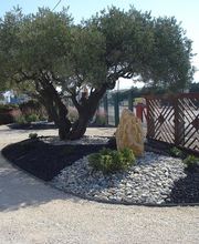 Vève Parcs & Jardins image 8