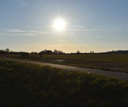 Super Hundeurlaub Bild 11