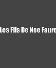 Les Fils De Noe Faure image 2