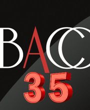 Bonaud Audit Comptabilite Conseil image 2