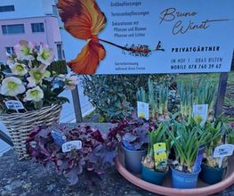 Bruno Winet, Privatgärtner Bild 4