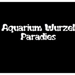 Aquarium Wurzel Paradies logo