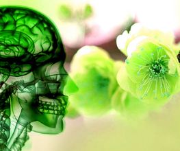 Bio-dynamische Cranio Sacraal