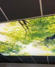 Spanndecke Waldmotiv