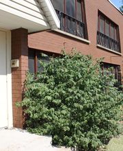 Lansdale Village Apartments image 19