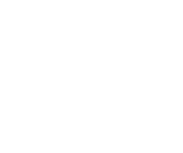 Pazzi Bild 1